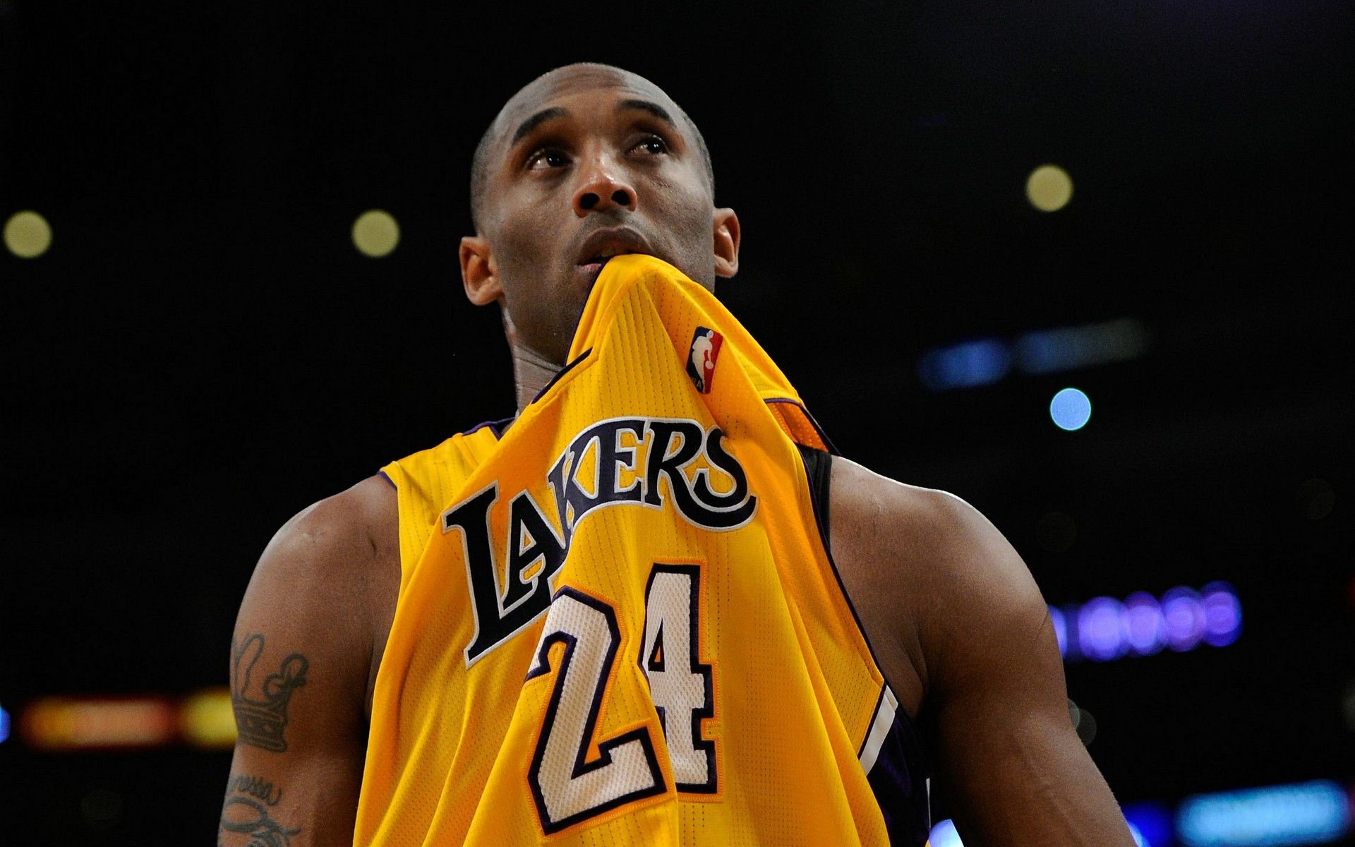 但却难以在 但却难以在